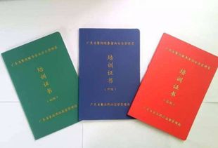 食品安全管理员在歌舞活动中的主要职责